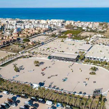 Leafy By On Travel Oliva