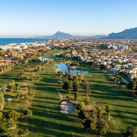 Leafy By On Travel Oliva